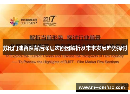 苏比门迪留队背后深层次原因解析及未来发展趋势探讨