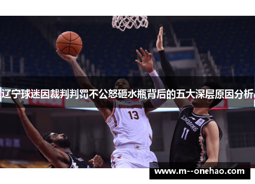 辽宁球迷因裁判判罚不公怒砸水瓶背后的五大深层原因分析