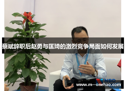 蔡斌辞职后赵勇与匡琦的激烈竞争局面如何发展